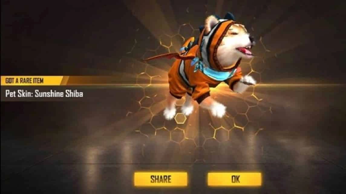 Shiba FF